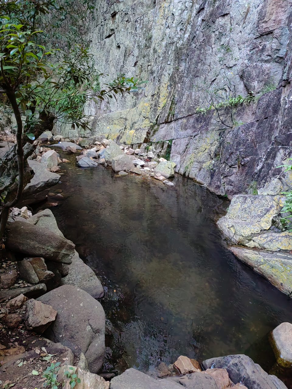 IMG-20230312-WA0013