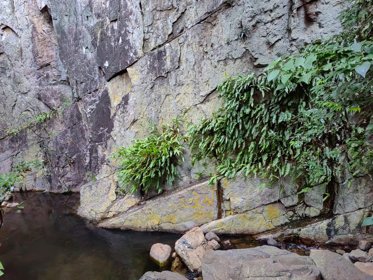 IMG-20230312-WA0017